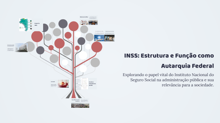 INSS: Estrutura e Função como Autarquia Federal by Amanda Anjos on Prezi
