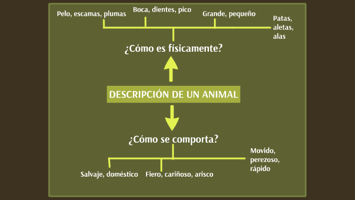 DESCRIPCIÓN DE UN ANIMAL by Rafa Navarro