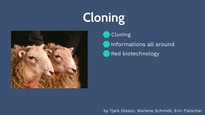 Cloning By Amira Schmidt On Prezi