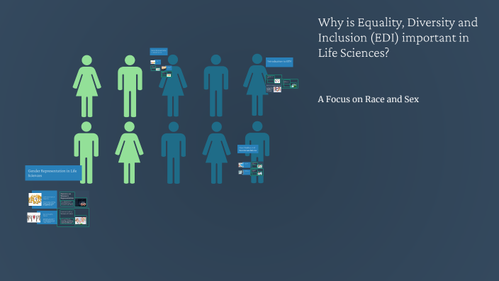 Why is Equality, Diversity and Inclusion (EDI) important in Life ...