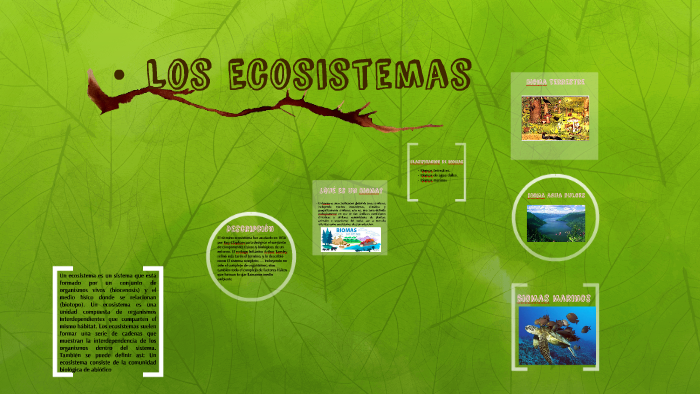 Los Ecosistemas by estivaliz gonzalez on Prezi