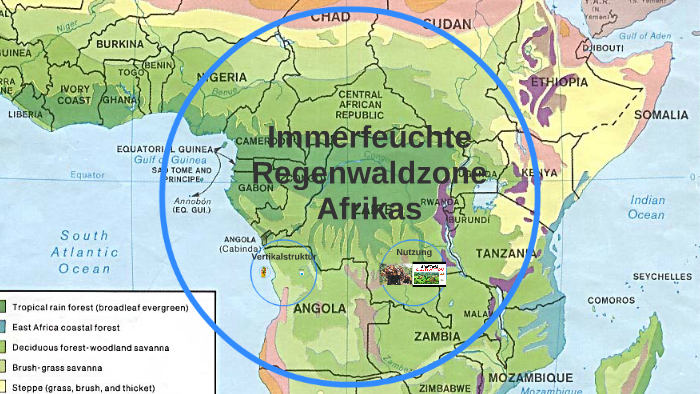Immerfeuchte Regenwaldzone Afrikas by Tim Wofsteller Immerfeuchte Regenwaldzone Afrikas by Tim Wofsteller