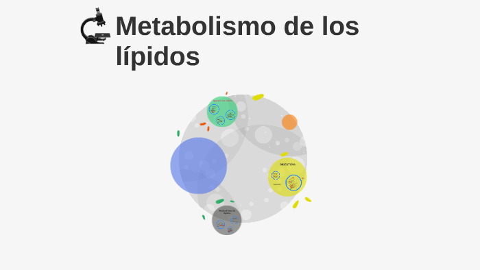 Metabolismo De Los Lípidos By On Prezi Next 6370