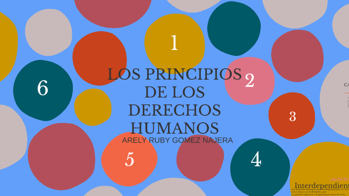 LOS PRINCIPIOS DE LOS DERECHOS HUMANOS by Gómez Najera Arely Ruby on Prezi