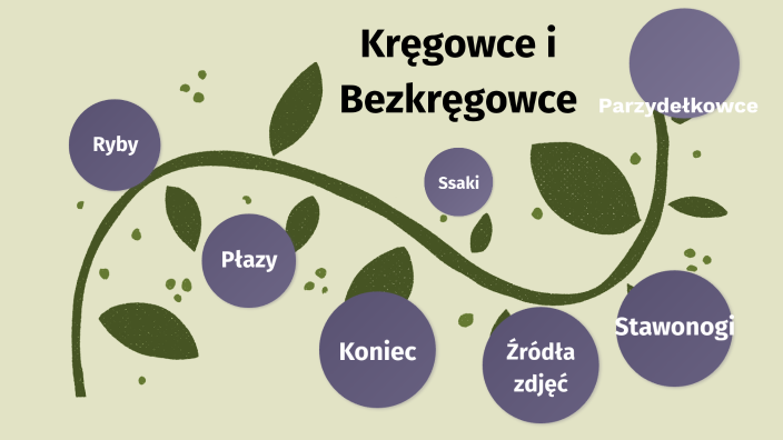 Kręgowce i Bezkręgowce by Michał Wyciszkiewicz on Prezi