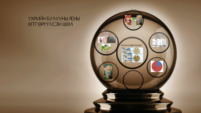 ҮХРИЙН БУЛУУНЫ ЯСНЫ ӨТГӨРҮҮЛСЭН ШӨЛ by Atraa Munkh on Prezi