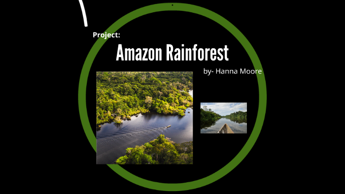 The Amazon Rainforest by Hanna Moore on Prezi