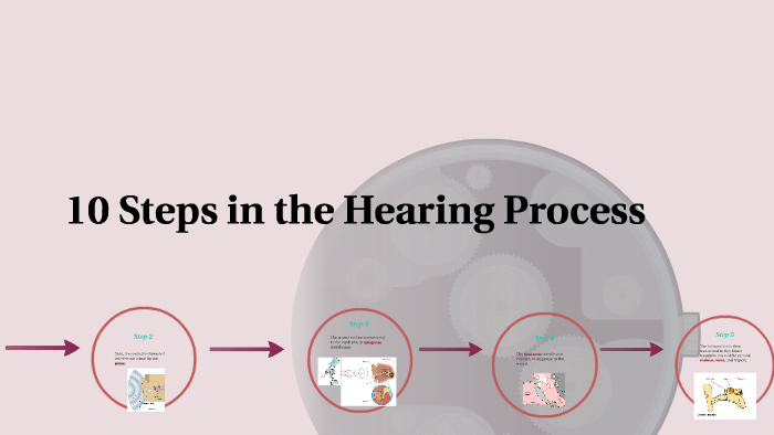 10 Steps in the Hearing Process by Esmeralda Silva