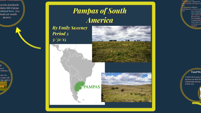 Pampas of South America by Emily Sweeney