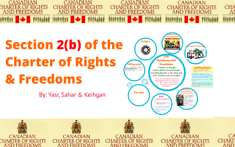 charter of rights and freedoms section 11