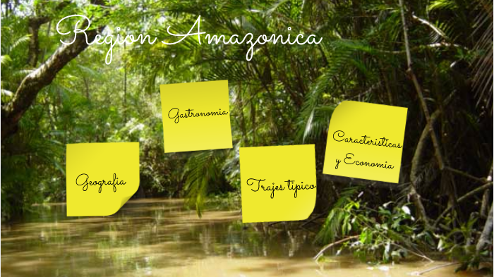 Region Amazonica by Sandy Paola Acosta Guerreroo on Prezi