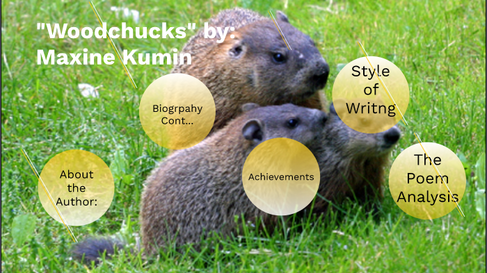 Maxine Kumin By Amier Jawad