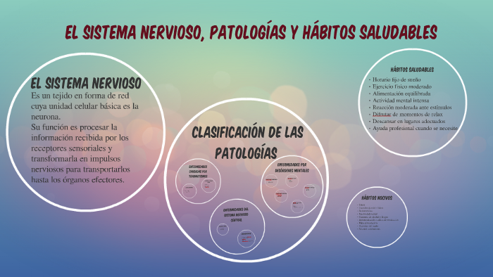 El Sistema Nervioso Patologías Y Hábitos Saludables By Mar Torrijos On El Sistema Nervioso Patologías Y Hábitos Saludables By Mar Torrijos On