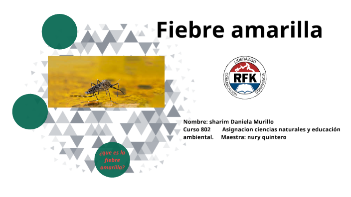 Fiebre Amarilla By Daniela Murillo On Prezi