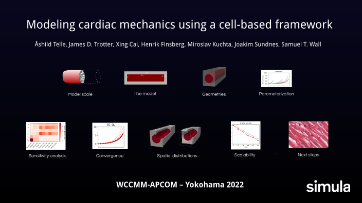 Modeling Cardiac Mechanics Using A Cell Based Framework By åshild Telle