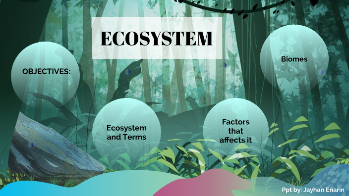 Phygeo Ecosystem By Jayhan Enarin On Prezi