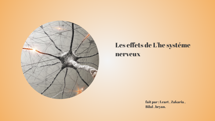 Les effets du cannabis sur le système nerveux by radan ziyad on Prezi