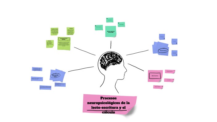 Procesos neuropsicológicos de la lecto-escritura by Martha Yajaira ...