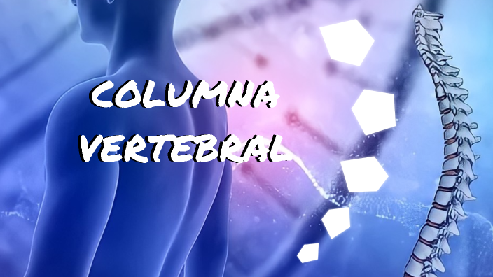 COLUMNA VERTEBRAL by ANA LUCIA VEGAS LABRIN on Prezi