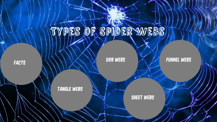 Spider Web Names Types of Spider Webs by Lilly Busdeker on Prezi