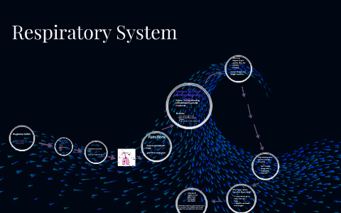 Respiratory System by on Prezi