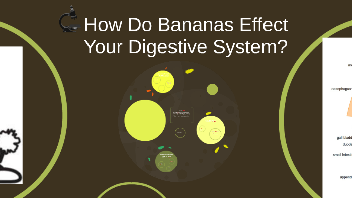 Banana intelligence overview