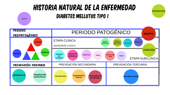 Historia Natural Dela Enfermedad Diabetes Mellitus Tipo 1