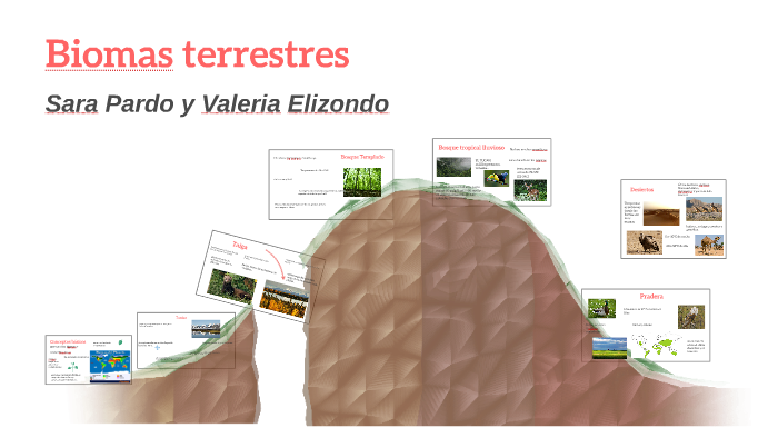 biomas terrestres by sara pardo estevez on Prezi