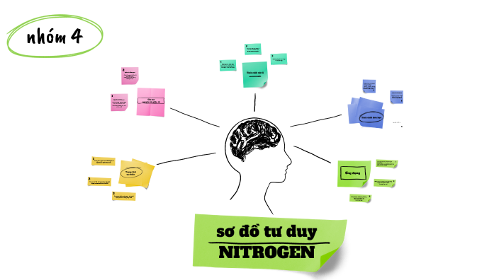 Sư đồ tư duy về NITROGEN by Dungg Nguyễn on Prezi