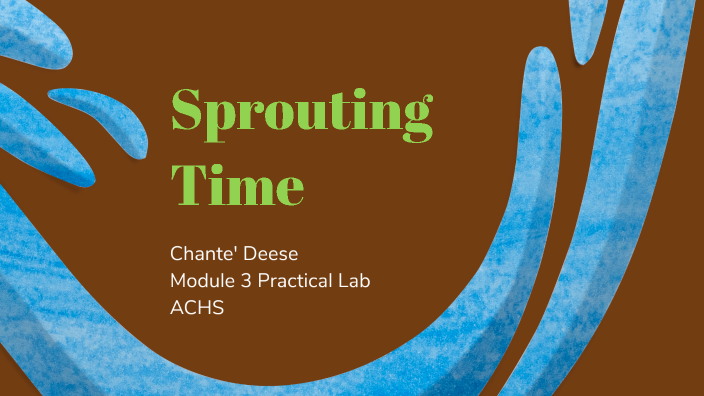 Practical Lab (Sprouting Kit) by Chante Deese on Prezi
