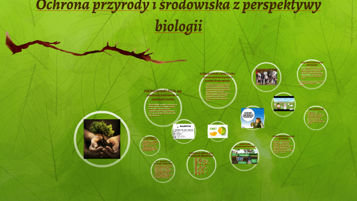 Ochrona Przyrody Sprawdzian Z Biologii - Ochrona przyrody i środowiska z perspektywy biologii by Kinga Kurzawa