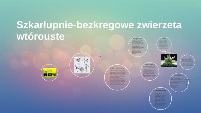 Szkarłupnie-bezkregowe zwierzeta wtórouste by Adrian Wąsowicz on Prezi