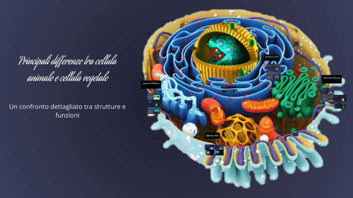 Principali differenze tra cellula animale e cellula vegetale by ...
