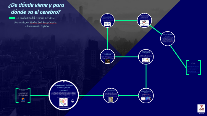 ¿de Dónde Viene Y Para Dónde Va El Cerebro By Marlon Fang Ordóñez