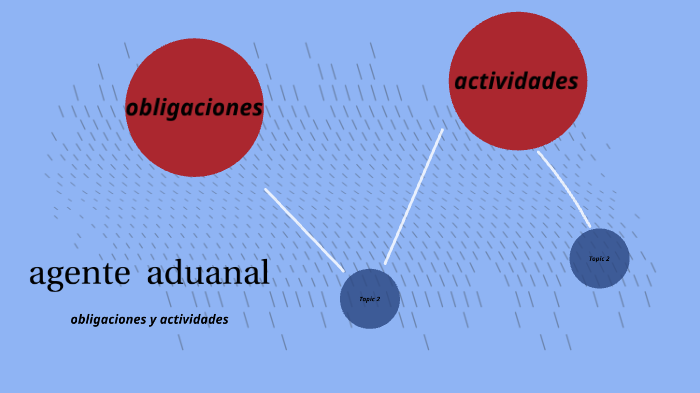 Obligaciones Y Actividades Del Agente Aduanal By Margarita Mateos García 3221