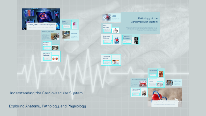 Understanding the Cardiovascular System by F Gamer on Prezi