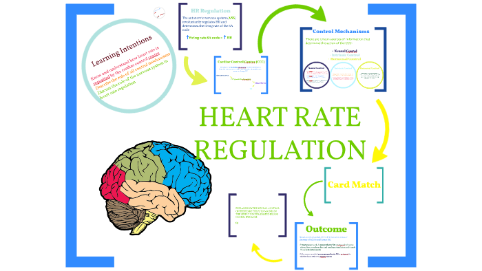 Heart Rate Regulation by Kerry Adele