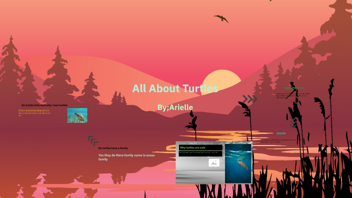 All About Turtles by arielle hamilton on Prezi