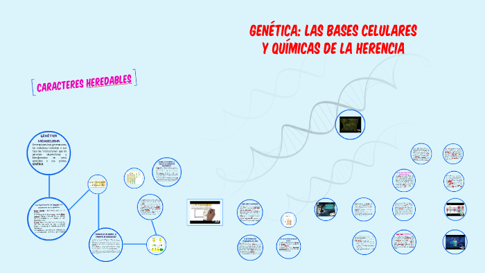 GENÉTICA: Las bases celulares y químicas de la herencia by JULIÁN
