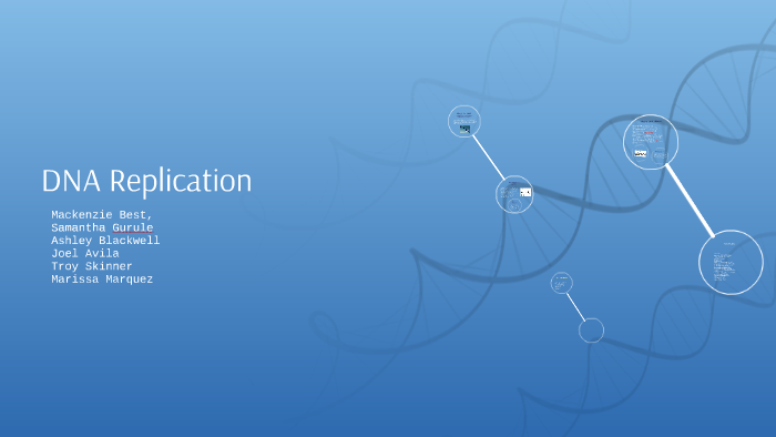 DNA Replication by Mackenzie Best on Prezi