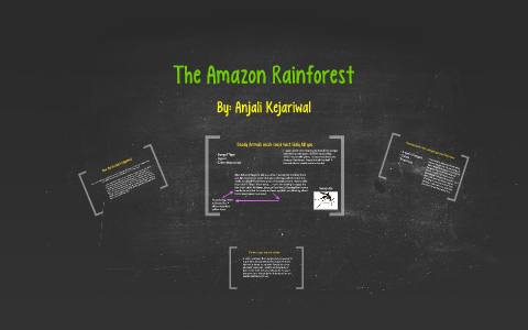 The Amazon Rainforest by Anjali Kejariwal on Prezi