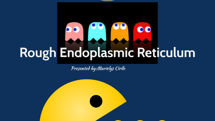 smooth-vs-rough-endoplasmic-reticulum-what-s-the-difference-between