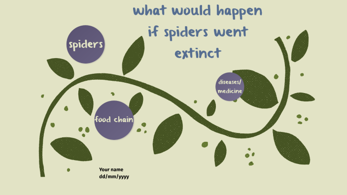 What Would Happen If Spiders Went Extinct