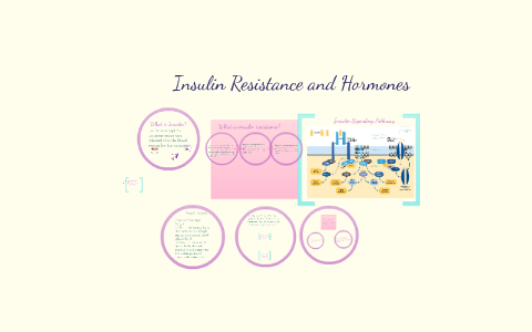 What is Insulin? by Sneha P on Prezi