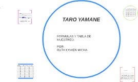 Taro Yamane By Ruth Cohen