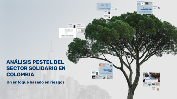 ANÁLISIS PESTEL DEL SECTOR SOLIDARIO EN COLOMBIA by Milena Garcia on Prezi