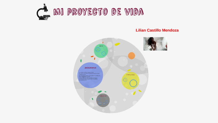 mi proyecto de vida by lilian castillo mendoza on Prezi
