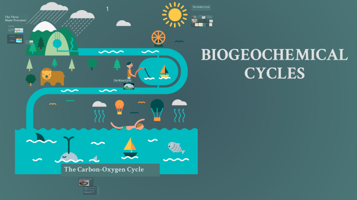 Understanding Biogeochemical Cycles by christine calimpon on Prezi