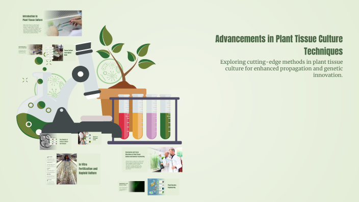 Advancements in Plant Tissue Culture Techniques by Hạo Thiên Lê on Prezi