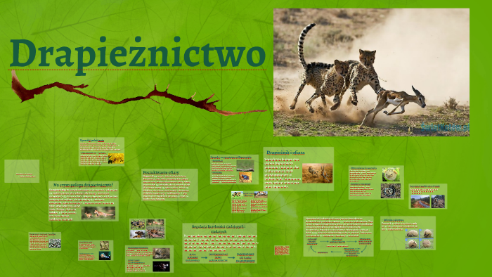 Drapieżnictwo by Wiktor Babiarczyk on Prezi